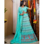 Star Gazing Embroidered Lehenga Set!